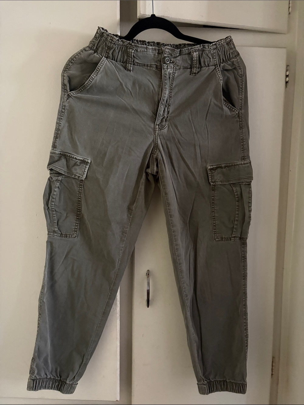 American Eagle Outfitters Olive Cargo Jogger Pants